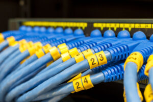 52914983 - rj45 cat6 lan cable connected to switch in soft focus 52914983 - rj45 cat6 lan cable connected to switch in soft focus